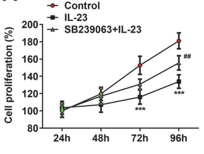 The cell proliferation of IL-23-treated cells.jpg